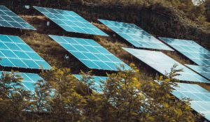Solar PV panels positioned on a grassy hillside